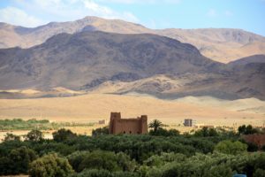 terroir de Marrakech, les ingrédients pour la beauté et les soins holistiques.