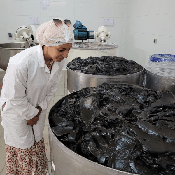 préparation du savon noir à l'eucalyptus
